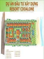 Phân tích chiến lược dự án đầu tư xây dựng resort cooalone