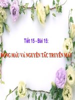 Máu và nguyên tắc truyền máu