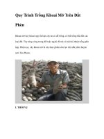 Quy Trình Trồng Khoai Mỡ Trên Đất Phèn ppt