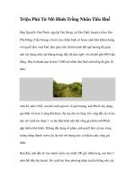 Triệu Phú Từ Mô Hình Trồng Nhãn Tiêu Huế doc