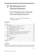 Handbook of plant based biofuels - Chapter 7 pdf