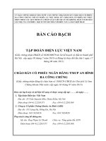 bản cáo bạch tập đoàn điện lực việt nam chào bán cổ phiếu ngân hàng tmcp an bình ra công chúng