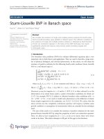 Báo cáo toán học: 