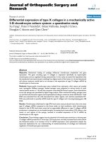 báo cáo hóa học: