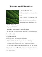 Kỹ thuật trồng chè Shan núi cao pdf