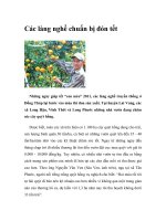 Các làng nghề chuẩn bị đón tết doc