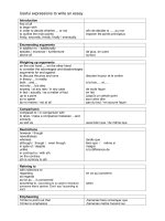Useful expressions essay for IELTS