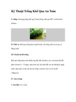 Kỹ Thuật Trồng Khổ Qua An Toàn potx