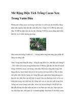 Mở Rộng Diện Tích Trồng Cacao Xen Trong Vườn Dừa pptx