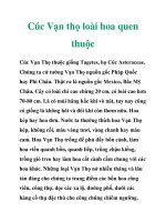 Cúc Vạn thọ loài hoa quen thuộc pdf