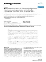 Báo cáo hóa học: 