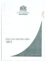 báo cáo thường niên năm 2012 công ty cổ phần đầu tư thương mại dic