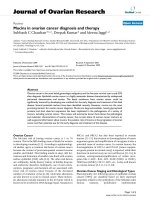 báo cáo hóa học: