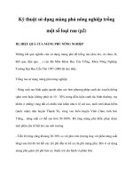 Kỹ thuật sử dụng màng phủ nông nghiệp trồng một số loại rau (p2) doc