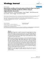 Báo cáo hóa học: 