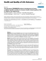 báo cáo hóa học: