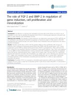 báo cáo hóa học: