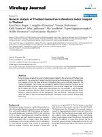 Báo cáo hóa học: 