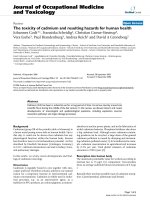 Báo cáo hóa học: 