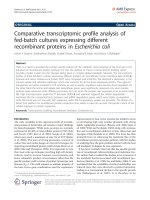 Báo cáo hóa học: 