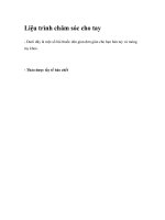 Liệu trình chăm sóc cho tay pot