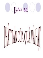 Phán tán của quả và hạt