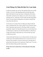 Cách Phòng Trị Nhện Đỏ Hại Cây Cam Sành ppt