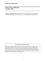 Department of Public Safety Financial Audit For the Period July 1, 1995 through June 30, 1998 August 1999 _part3 doc