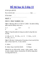 Đề thi học kì 2-lớp 11 pdf