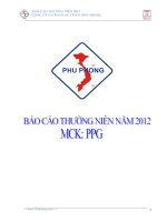 báo cáo thường niên 2012 công ty cổ phần sx tm dv phú phong