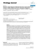 Báo cáo hóa học: 