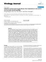 Báo cáo hóa học: 