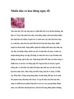 Muốn đào ra hoa đúng ngày tết docx