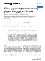 Báo cáo hóa học: 