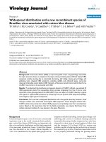 Báo cáo hóa học: 