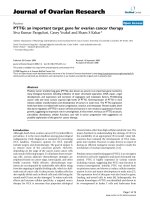 báo cáo hóa học: