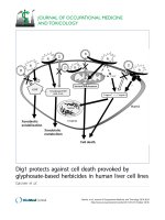 báo cáo hóa học: 