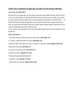 Lập chiến lược marketing cho Biti’s tại thị trường Việt Nam potx