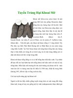 Tuyến Trùng Hại Khoai Mỡ doc