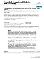 báo cáo hóa học: 