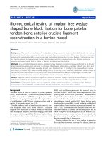 báo cáo hóa học: