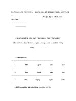 MẪU CHƯƠNG TRÌNH ĐÀO TẠO TRUNG CẤP CHUYÊN NGHIỆP pdf