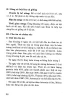 Kỹ thuật nuôi cá mú part 5 pot