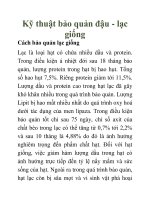 Kỹ thuật bảo quản đậu - lạc giống ppt