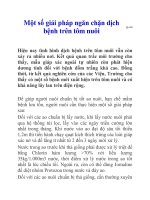 Một số giải pháp ngăn chặn dịch bệnh trên tôm nuôi pdf