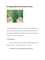 Sử dụng phân bón hóa học cho lúa doc