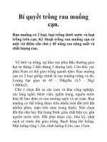 Bí quyết trồng rau muống cạn. ppt