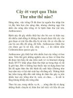 Cây ớt vượt qua Thán Thư như thế nào? doc