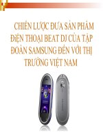 Phân tích chiến lược đưa sản phẩm điện thoại beat DJ của tập đoàn sam sung đến với thị trường việt nam