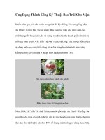 Ứng Dụng Thành Công Kỹ Thuật Bao Trái Cho Mận pot